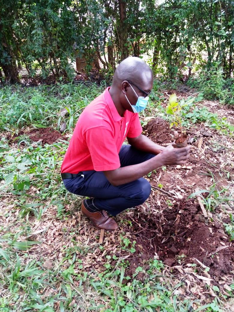 Kenya Science Tree Planting